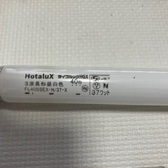 蛍光灯　Panasonic Hotaluxの画像