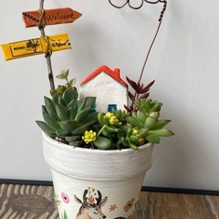ミニ多肉寄せ植え小物セット②の画像
