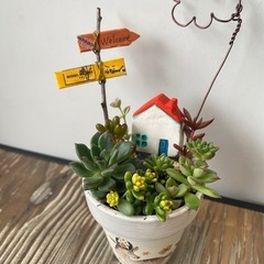 ミニ多肉寄せ植え小物セット②