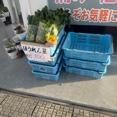 格安！今朝採れたのほうれん草の画像