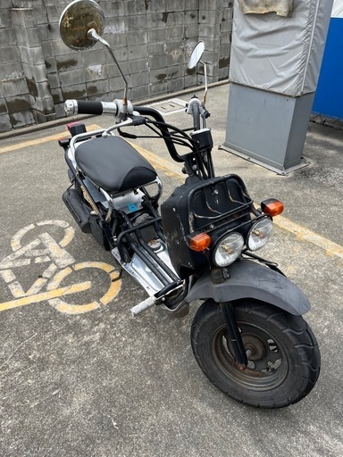 ホンダ ズーマー （ホンダ ズーマー・デラックス のカタログ情報