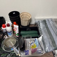 パキプス引退セット