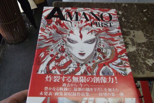天野喜孝画集「AMANO first」 (ソノラマ・セレクション) [paperback] 天野 喜孝 [Dec 10, 2003]