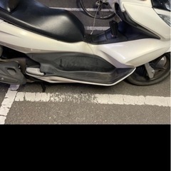 pcx jf28の画像