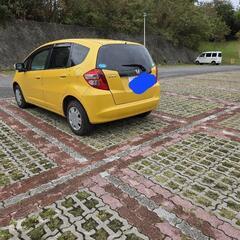 フィットの画像