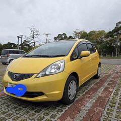 フィットの画像