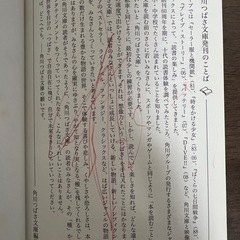 怪盗レッド①２代目怪盗、デビューする☆の巻の画像