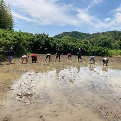 オルタナティブな学校　生徒募集の画像