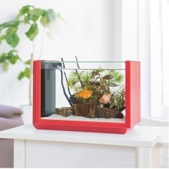 水槽セットの画像