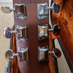 MORRIS モーリス　アコースティックギターの画像