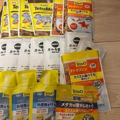 水槽　メダカ熱帯魚セット！
の画像