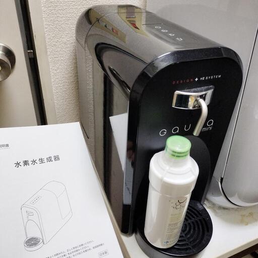 ガウラミニ