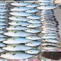 3月中旬　ジギング行きたい方募集　釣り