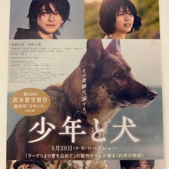 3/6正午受付終了　少年と犬　試写会招待券の画像