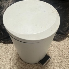 キッチン用ゴミ箱　足踏み付き　