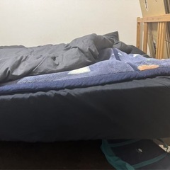 ベット
