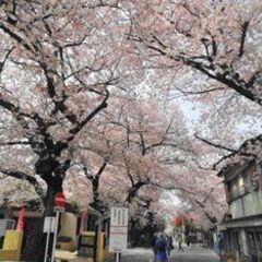 35～55才 東京散歩♪ ～1人参加～【巣鴨】💖