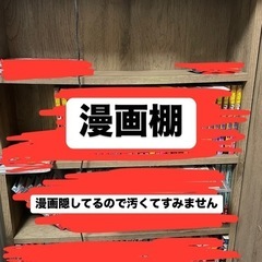 漫画棚 コミック収納棚 140冊程度