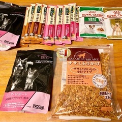 犬用ちゅーる22本➕ロイヤルカナン 成犬・高齢犬用フード2個➕犬...
