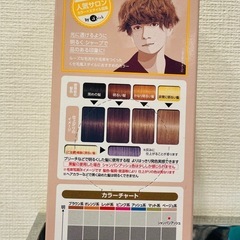 ※15日まで※ギャッツビー　ナチュラルブリーチ&カラー　シャンパンアッシュの画像