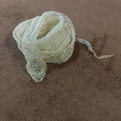 【額装】 開運♪金運アップ♪ 白蛇の抜け殻アート【寿】 蛇文字の画像