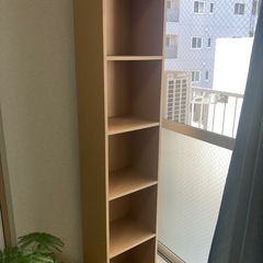 本棚