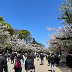 東京案内します🗼