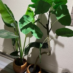 フェイクグリーン　観賞植物２つ 
