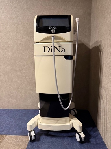 その他 DiNa