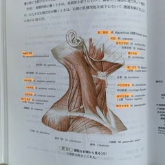 人体解剖学　第42版の画像