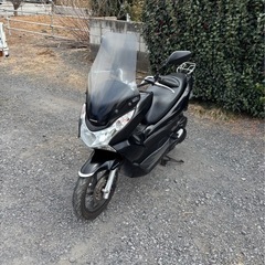 976.　動画あり　ホンダ　JF28 PCX125 小型　バイク　125cc 車体　埼玉の画像