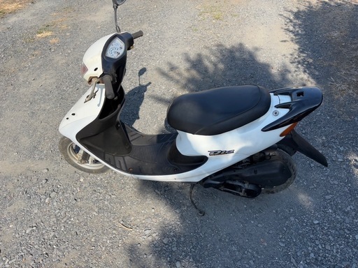 979. 動画あり HONDA ライブディオZX仕様 原付 バイク 50cc オンライン