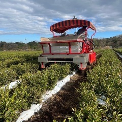 【アルバイト募集】 農園での軽作業や車の運転など