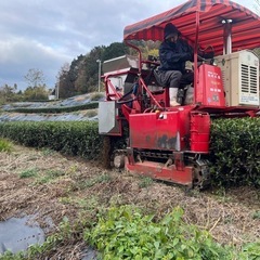 【アルバイト募集】 農園での軽作業や車の運転などの画像
