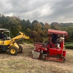 【アルバイト募集】 農園での軽作業や車の運転などの画像