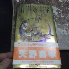 月の王 (MON MUSEE) [hardcover] 天野 喜孝 [Nov 01, 1992]の画像