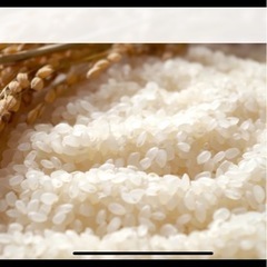 【注文受付終了】令和6年度産【特A米】 さがびより玄米30kg
