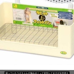 うさぎさん用一式の画像