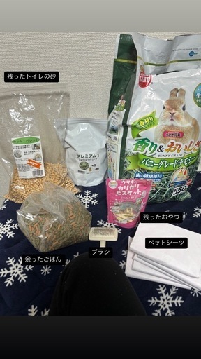 うさぎさん用一式