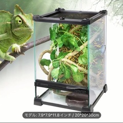 爬虫類 ケージ ツノガエル 新品 20×20×30