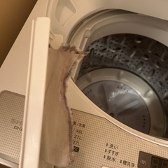 (受け渡し者様決定)洗濯機 SHARP ES-G55UC 5.5kg 2019年製  の画像