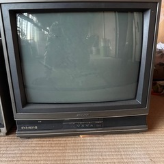 テレビの画像