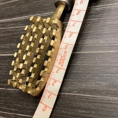 さかなの鱗取りの画像