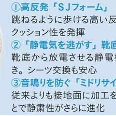 　　受け取り決定　静電 スリッポンシューズ 25cm、5段ラックの画像