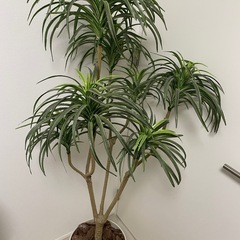人工観葉植物