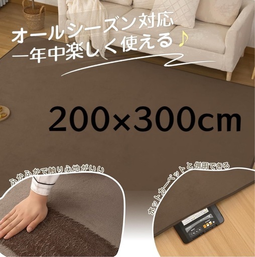 新品未使用品　カーペット　ラグ　オールシーズン　ラグマット　滑り止め　洗える　新生活　200×300cm ブラウン