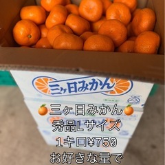 【残4kg】静岡県産🍊三ヶ日みかん🍊1箱取置き分日程変更により再...