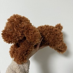 トイプードルぬいぐるみの画像