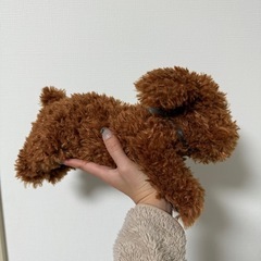 トイプードルぬいぐるみの画像