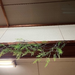 フェイクグリーン　つる枝　約150㌢の画像